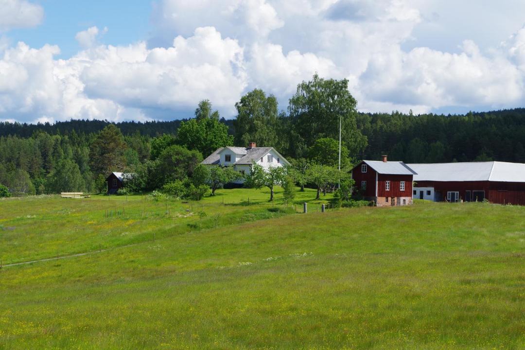 Photo of Others in Prasthog