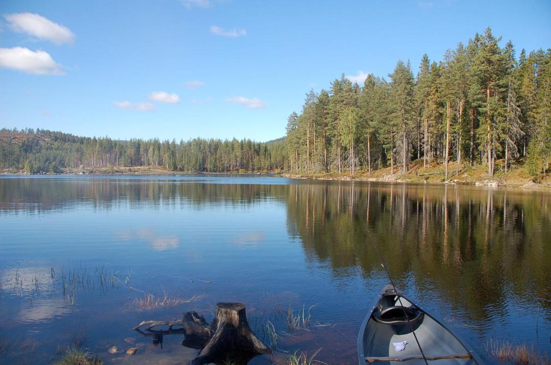 Photo of Others in Sigdal Municipality
