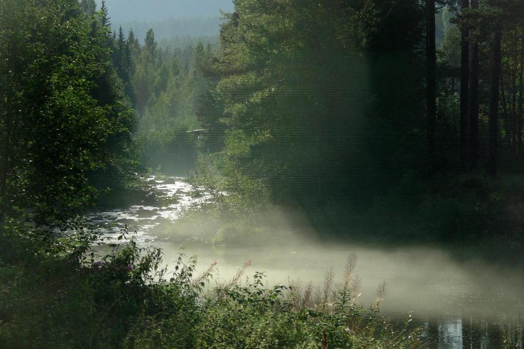 Photo of Others in Sigdal Municipality