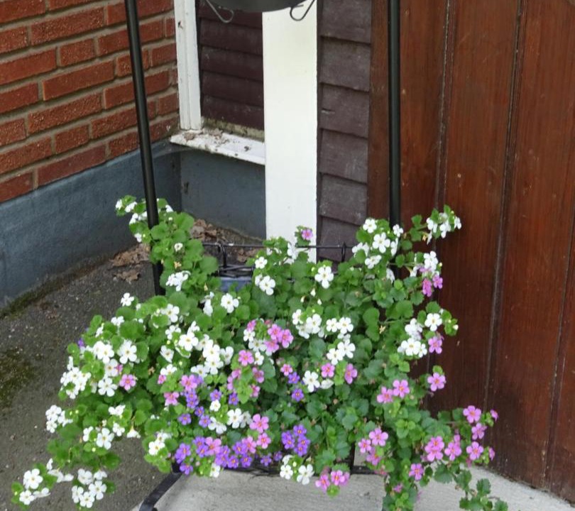 Photo of Others in Katrineholm