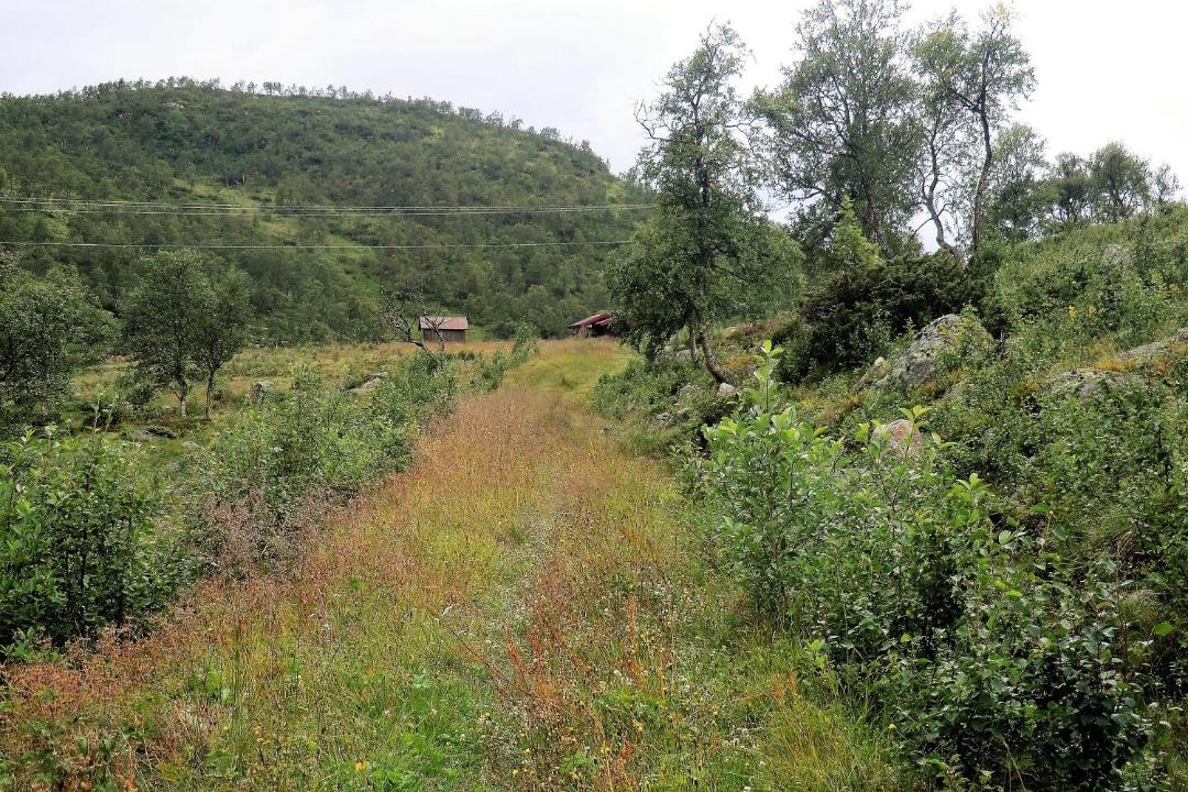 Photo of Others in Haukeli