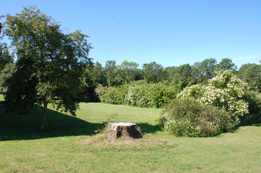 Photo of Others in Kastlosa