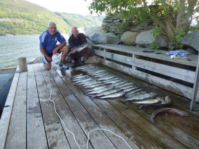 Photo of Others in Hjelmeland