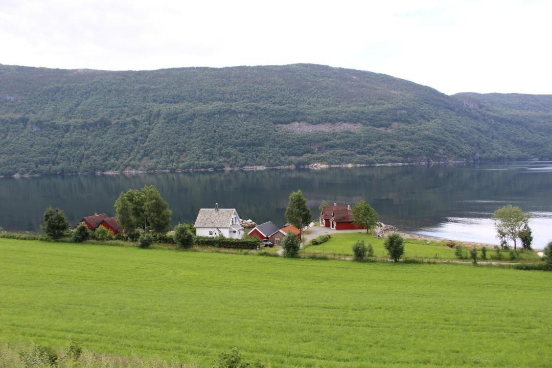 Photo of Others in Hjelmeland