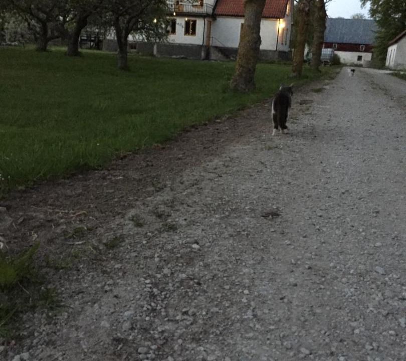 Photo of Others in Havdhem