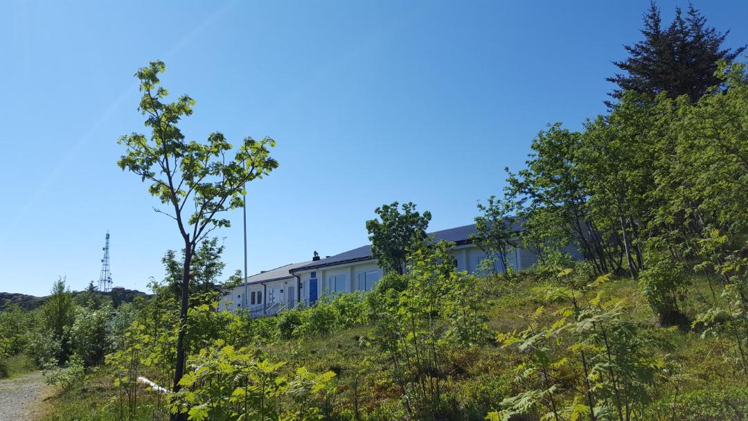 Photo of Others in Sørvagen