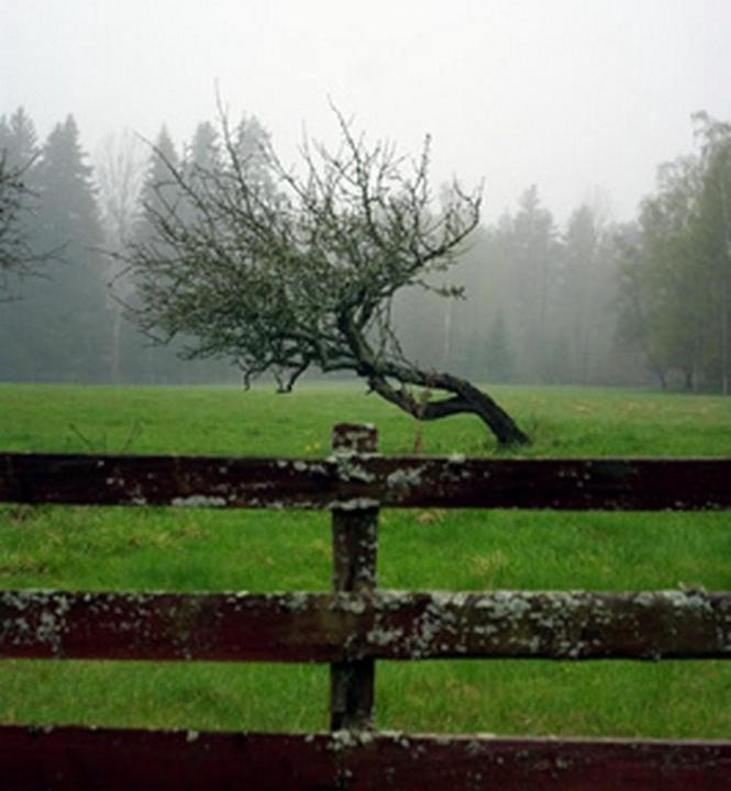 Photo of Others in Gamleby