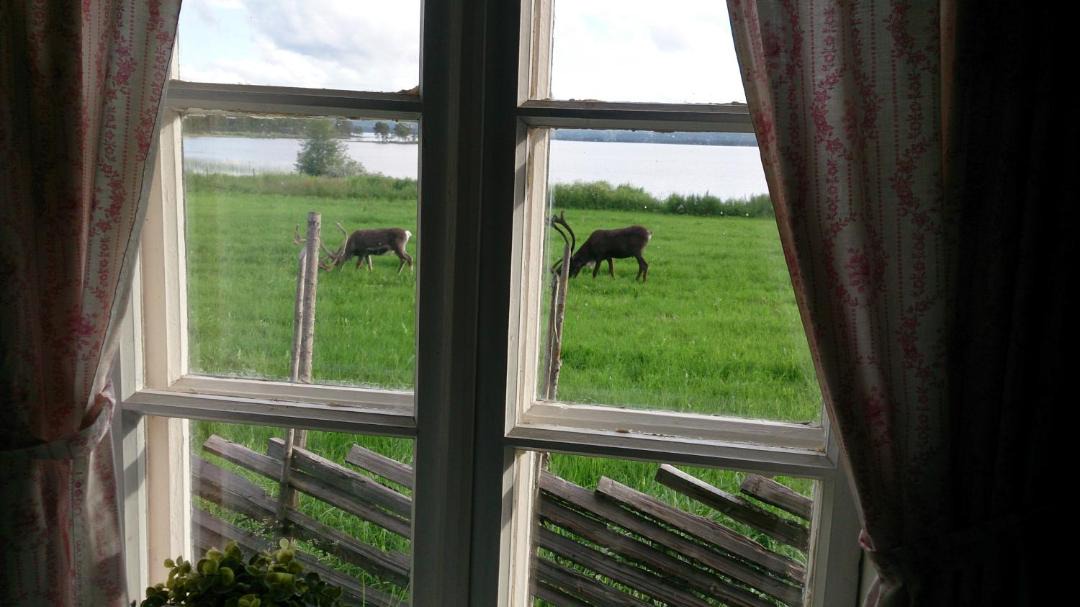 Photo of Others in Engerdal Municipality