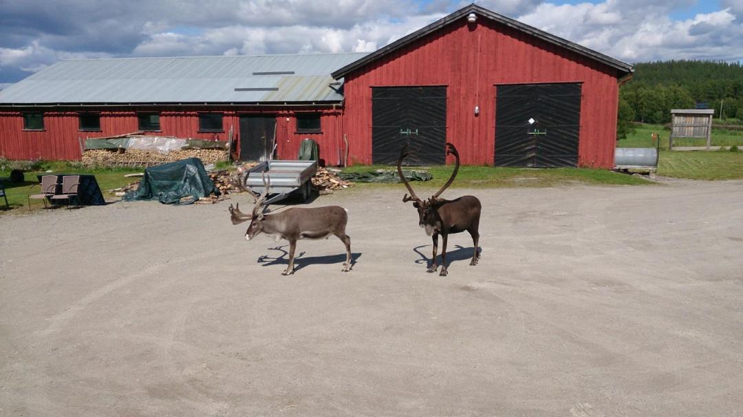 Photo of Others in Engerdal Municipality