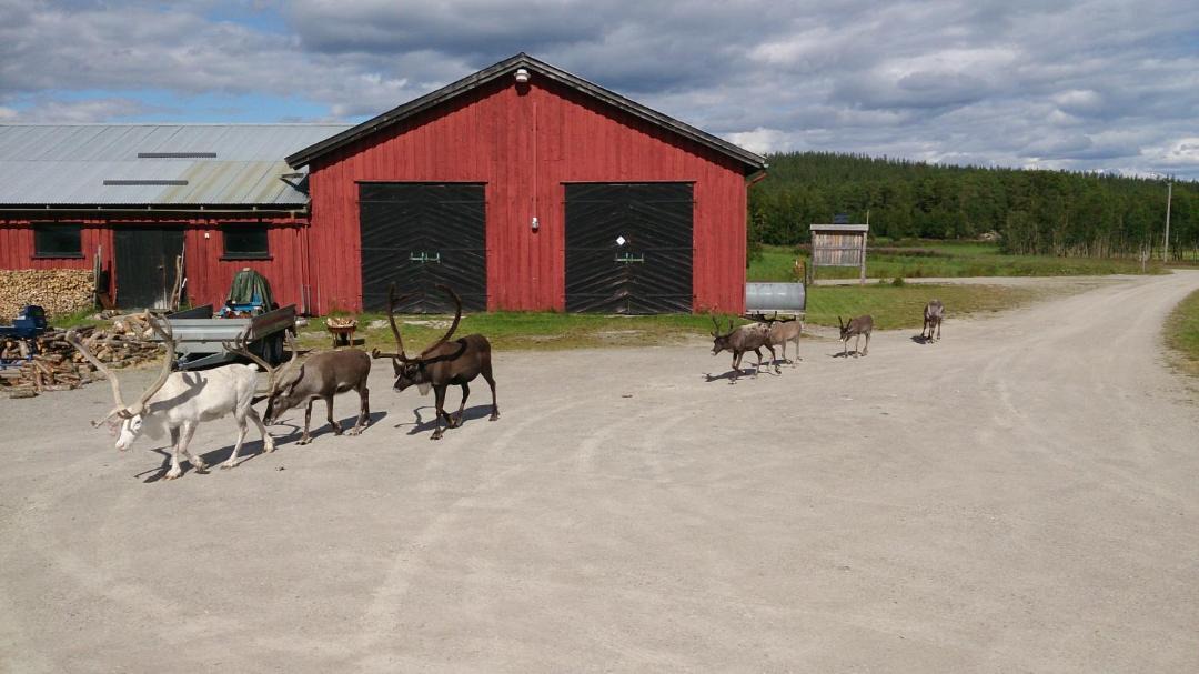 Photo of Others in Engerdal Municipality