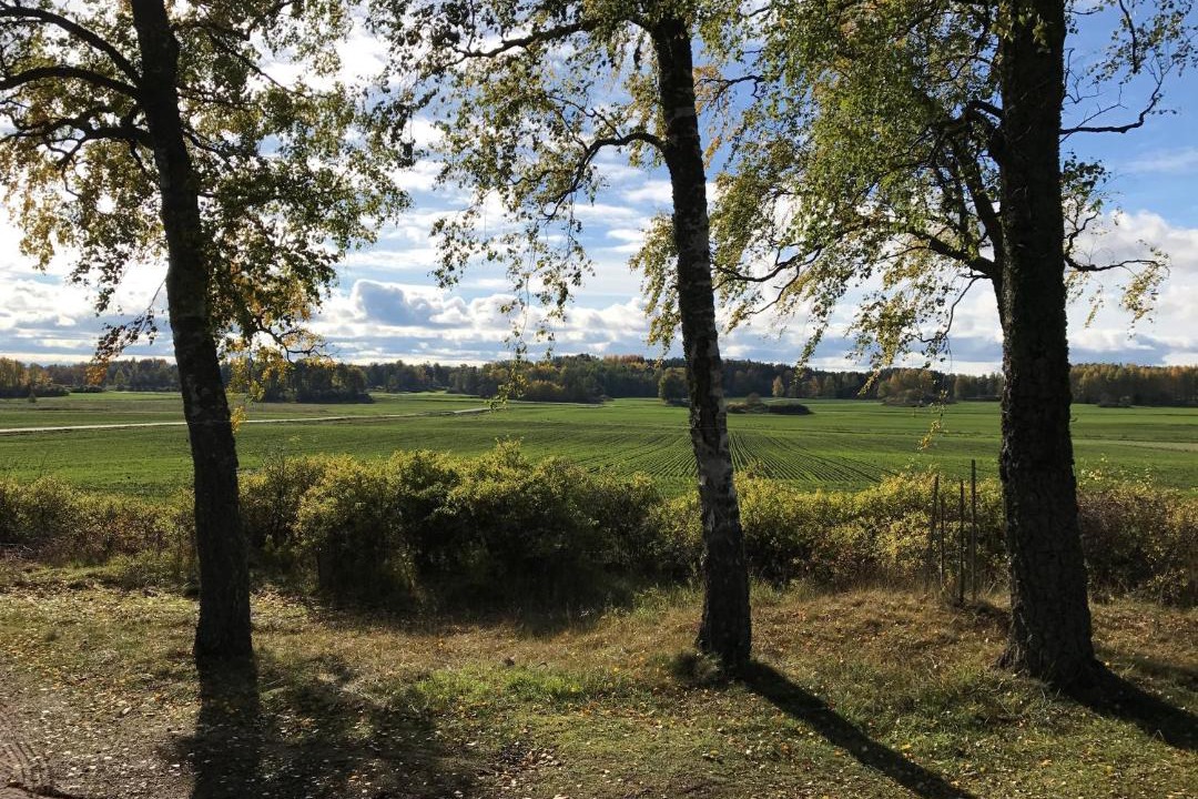 Photo of Others in Lillykyrka
