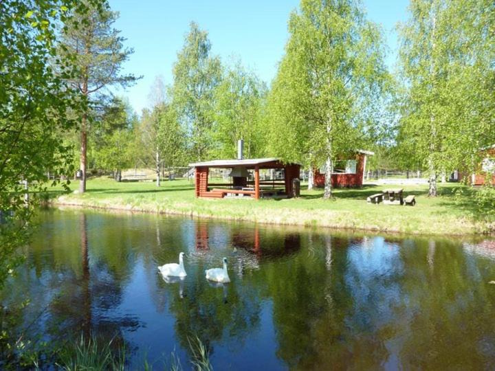 Photo of Others in Rovaniemi