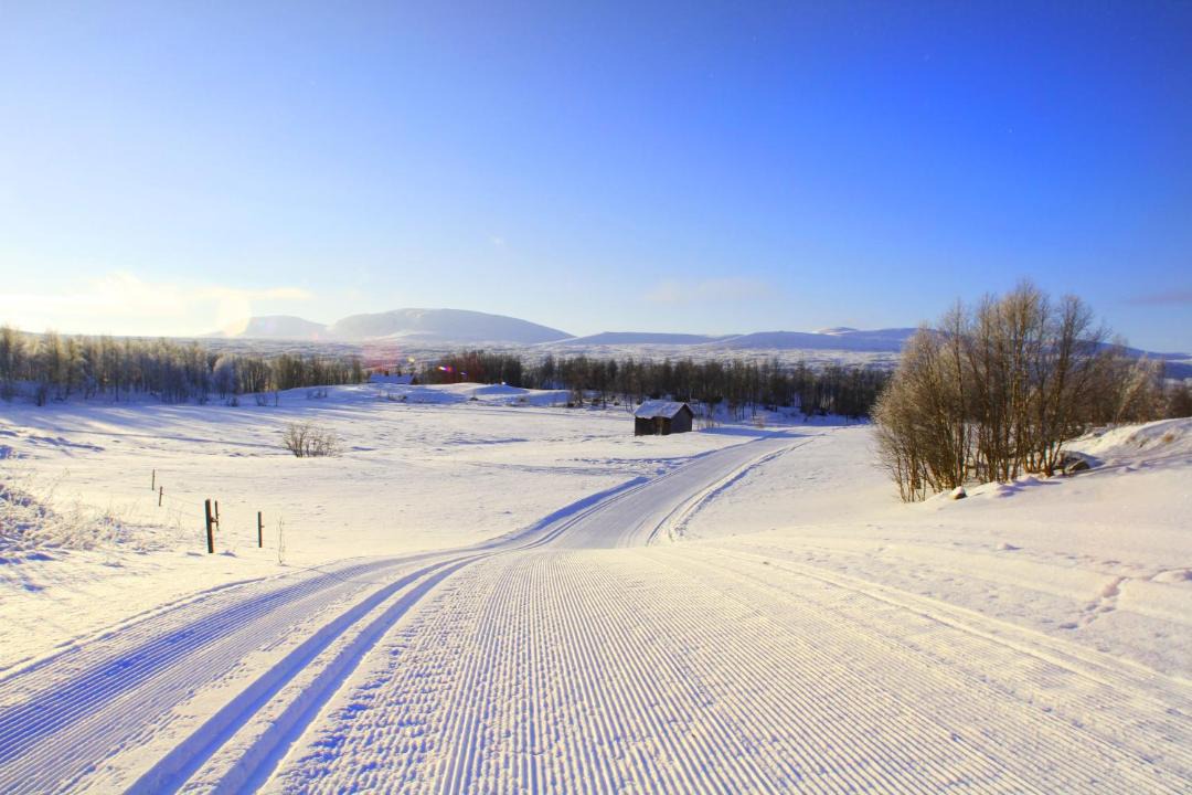 Photo of Others in Bruksvallarna