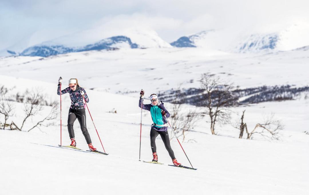 Photo of Others in Bruksvallarna