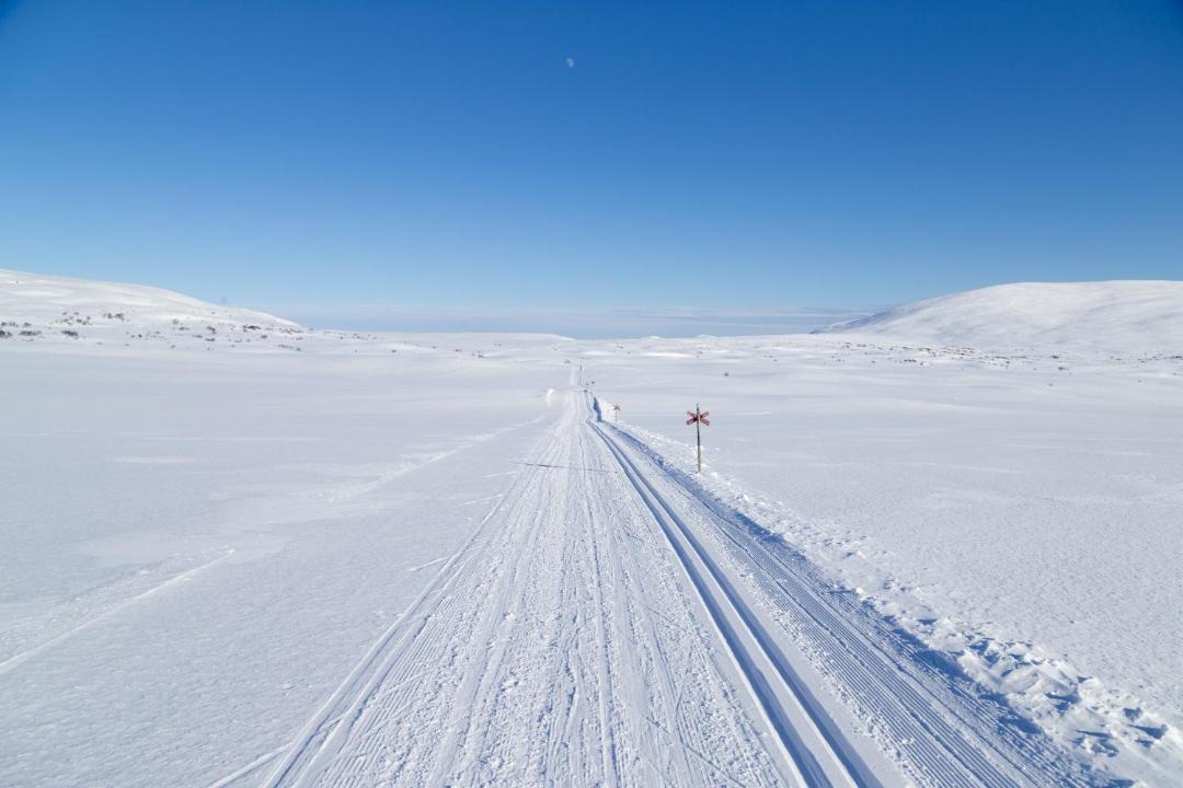 Photo of Others in Bruksvallarna