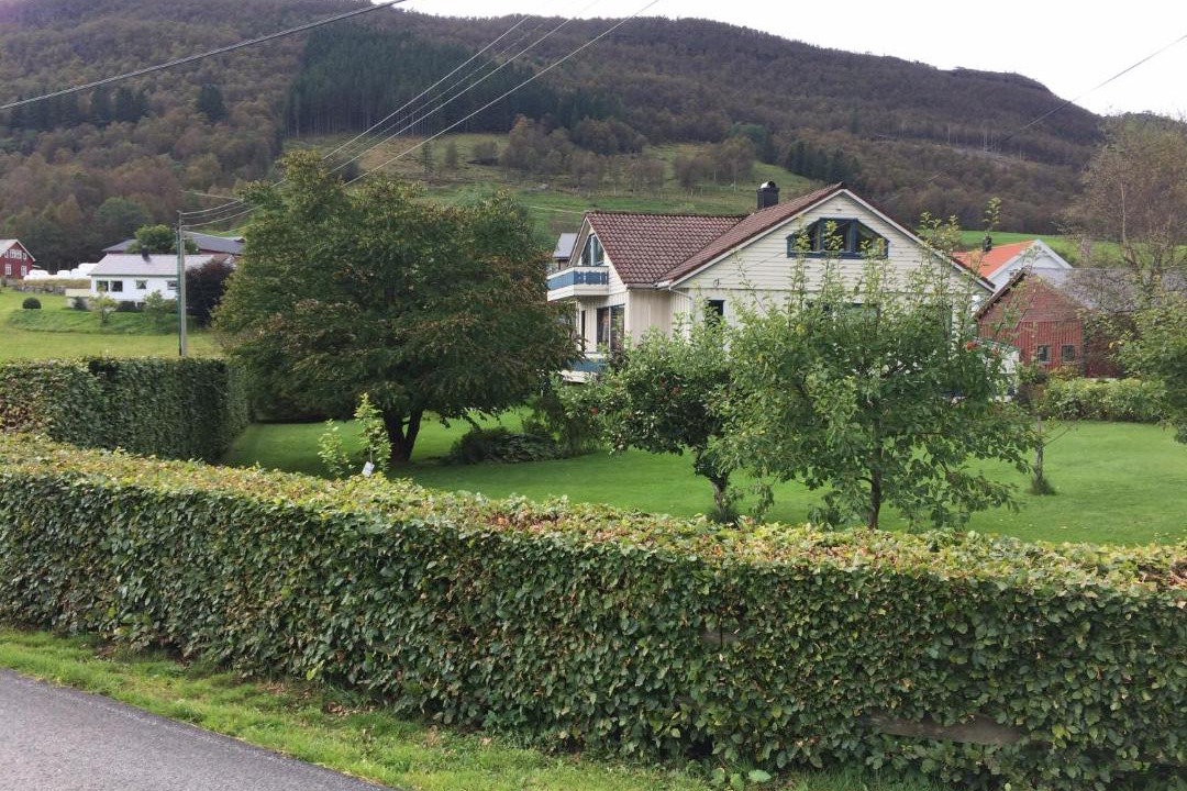 Photo of Others in Haugaland