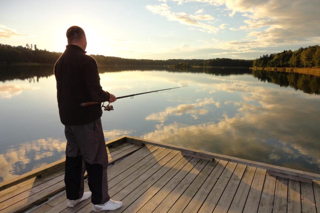 Photo of Others in Odkarby