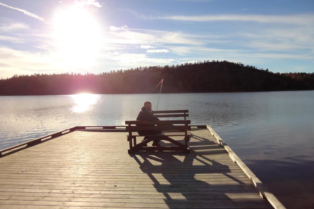 Photo of Others in Odkarby