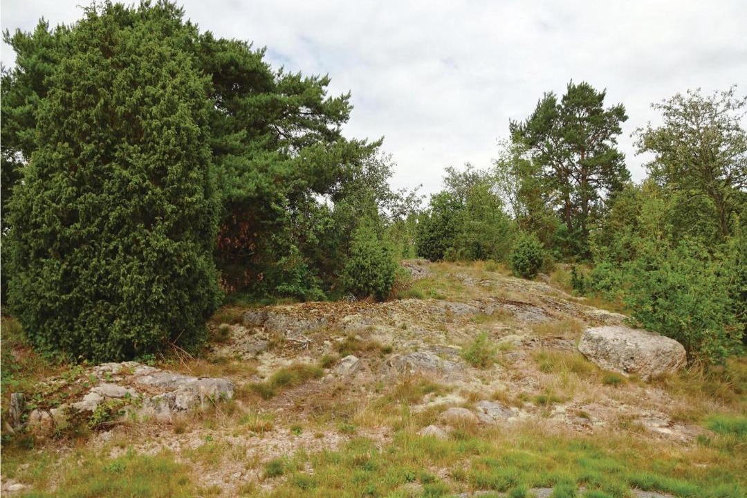 Photo of Others in Ronneby