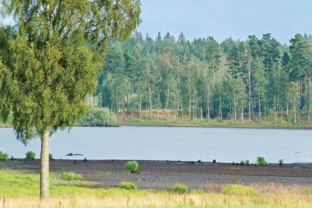 Photo of Others in Virestad