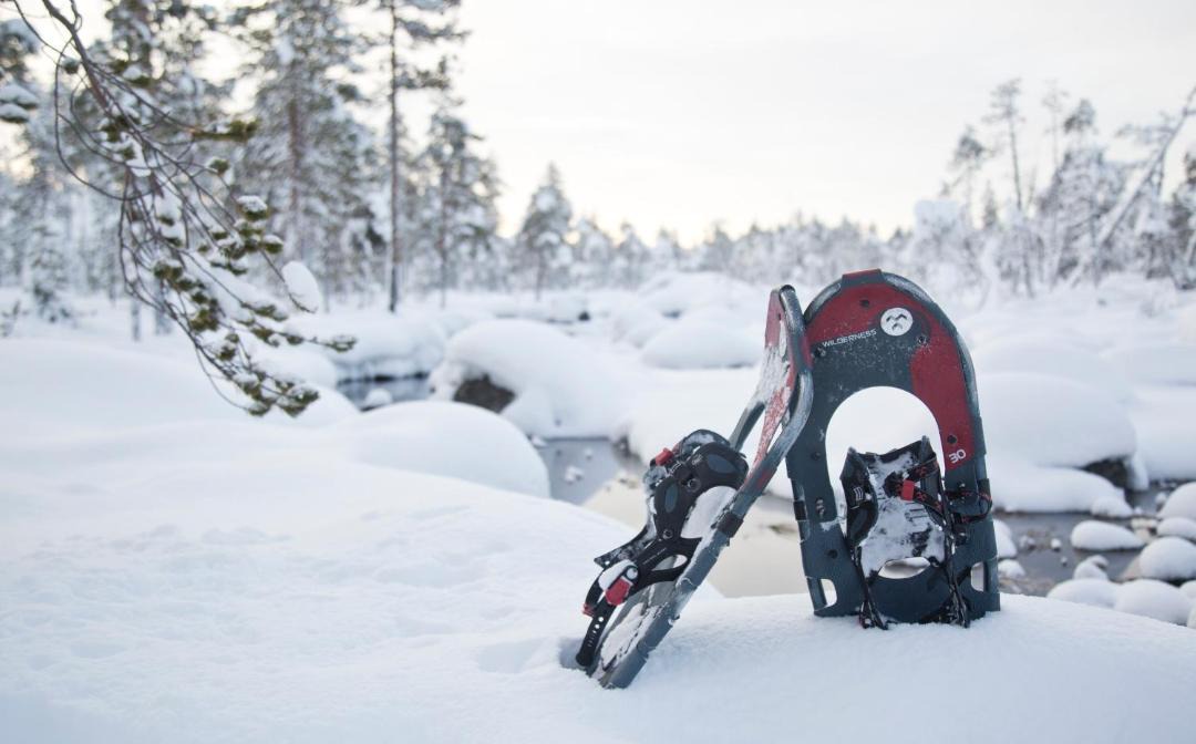 Photo of Others in Inari