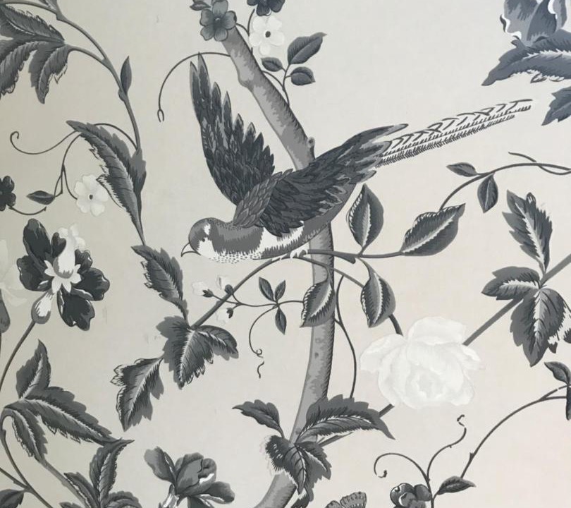 Photo of Others in Vase