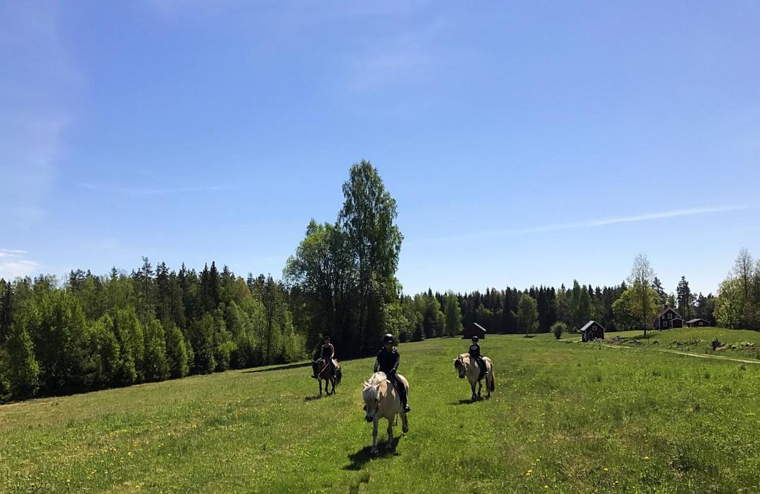 Photo of Outdoor in Tived
