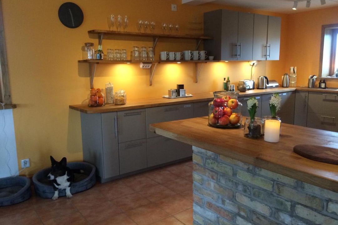 Photo of Kitchen in Flyinge