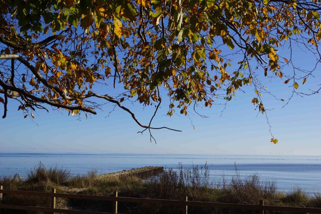 Photo of Outdoor in Gamla Staden-Sandskogen