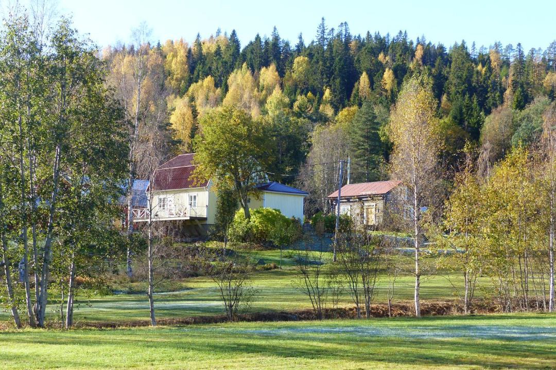Photo of Outdoor in Lugnvik