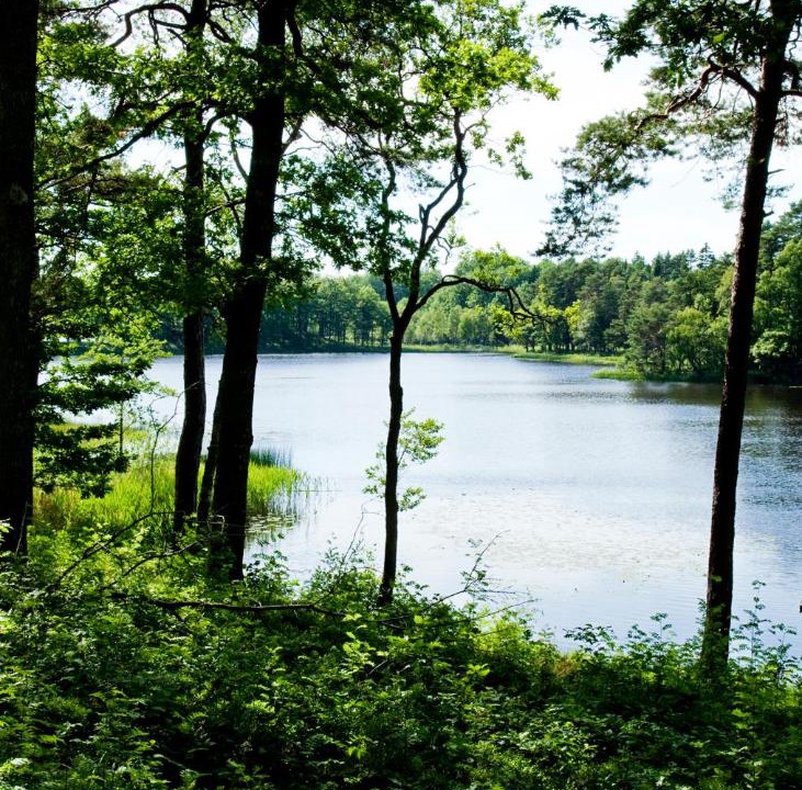 Photo of Others in Markaryd
