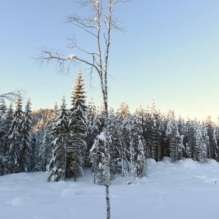 Photo of Others in Hemsedal