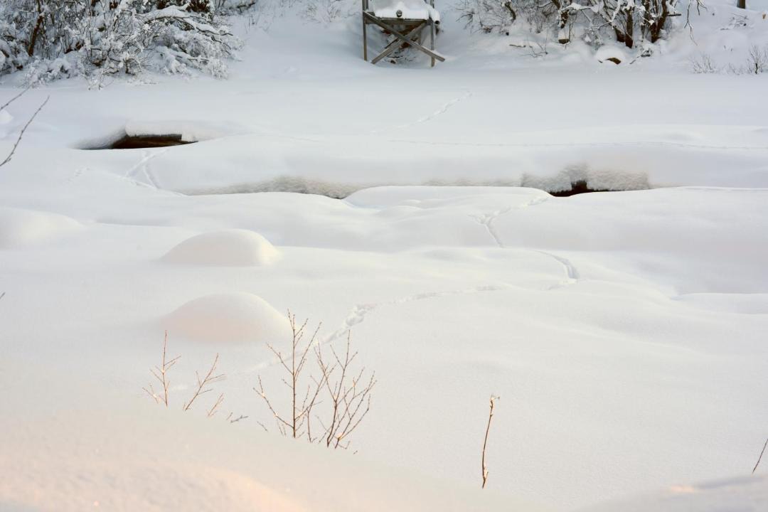 Photo of Others in Hemsedal