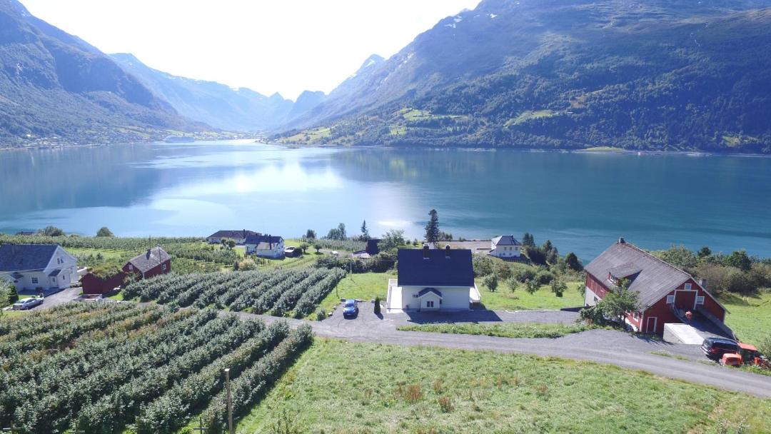 Photo of Others in Stryn