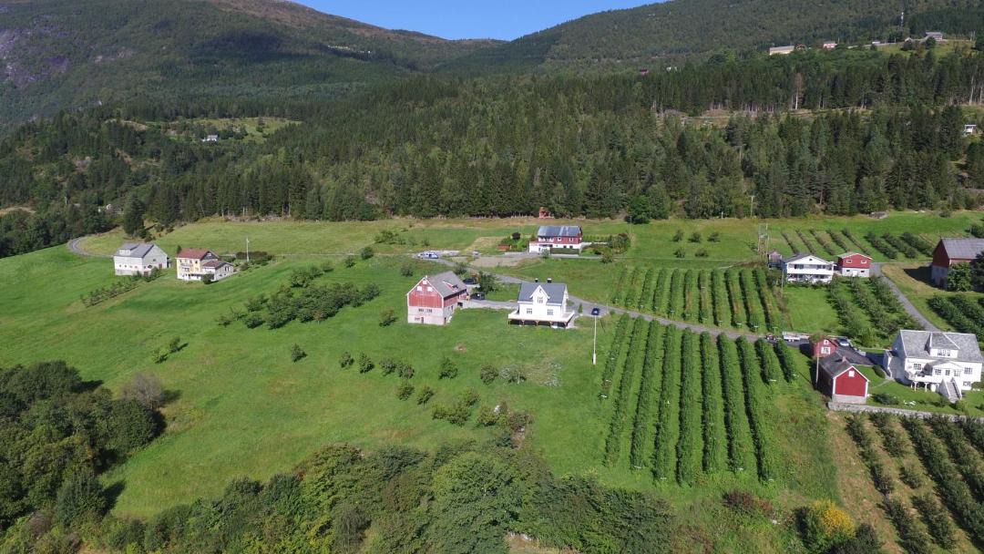 Photo of Others in Stryn