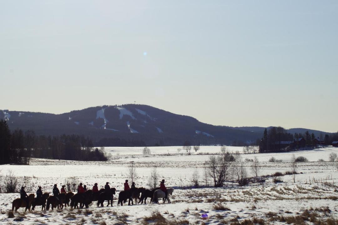 Photo of Others in Borlange Municipality