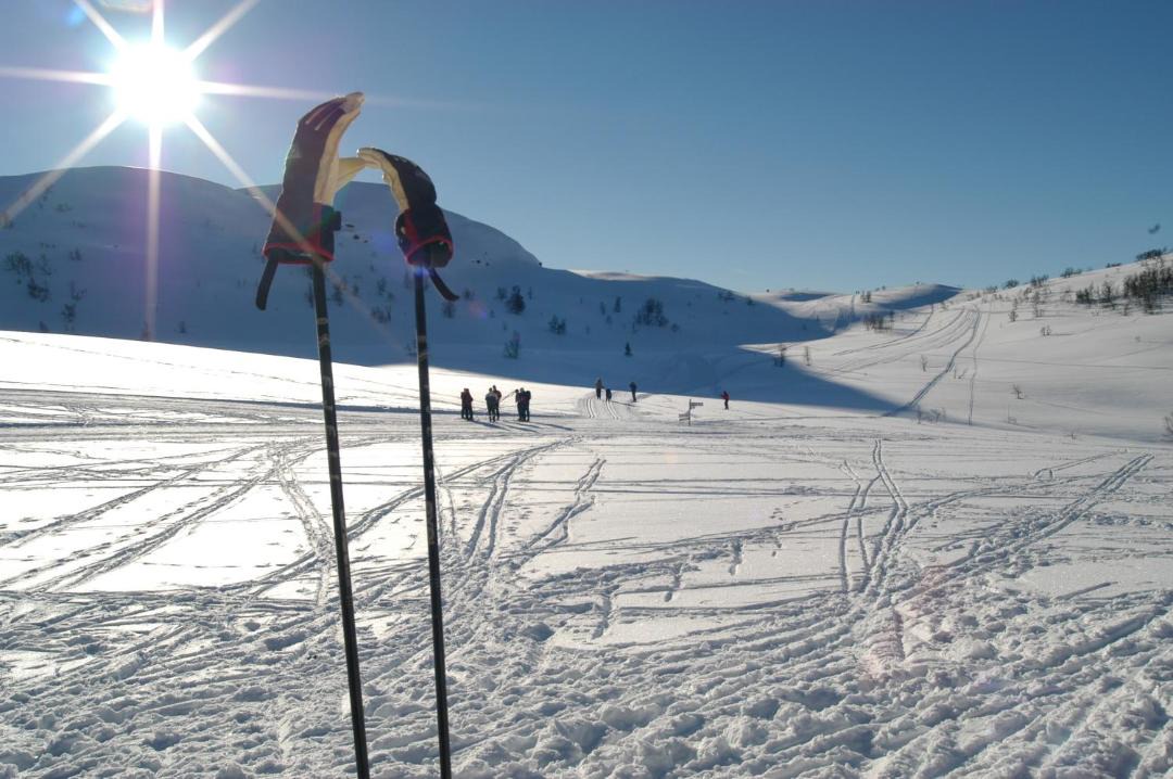 Photo of Others in Rauland
