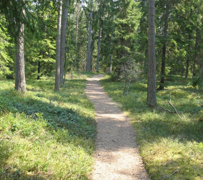 Photo of Others in Mullsjo