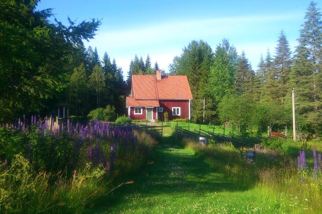 Photo of Others in Orsa