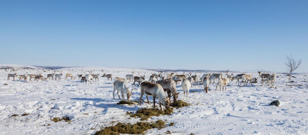 Photo of Others in Utsjoki