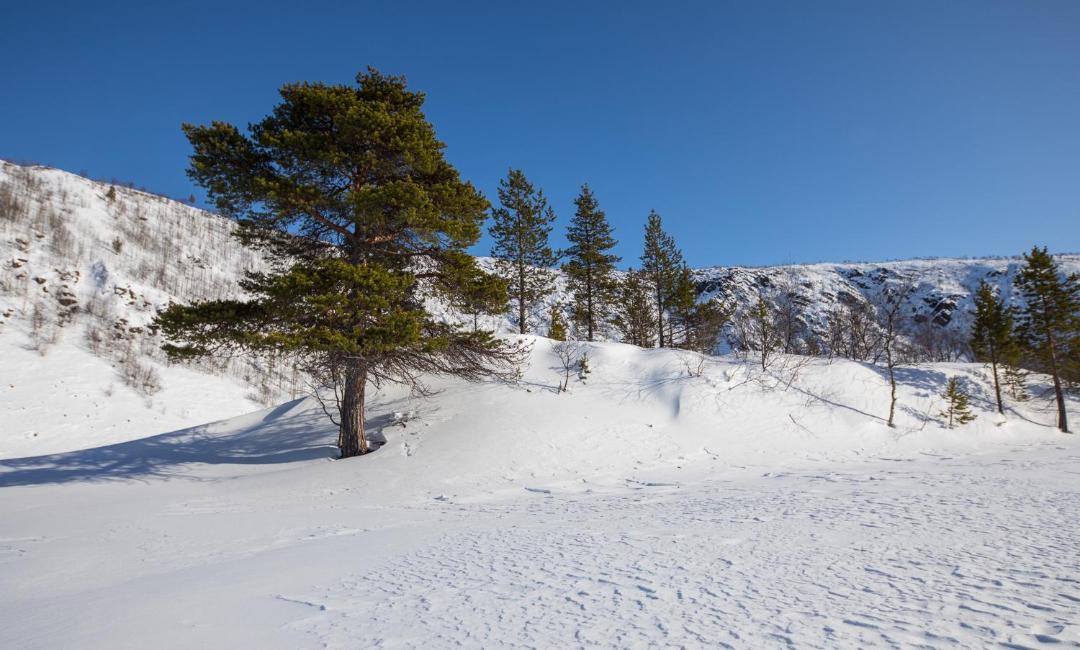 Photo of Others in Utsjoki
