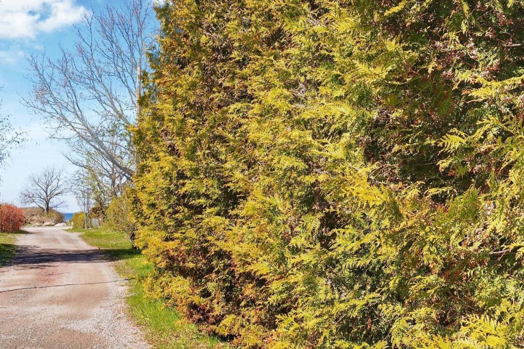 Photo of Outdoor in Borgholm