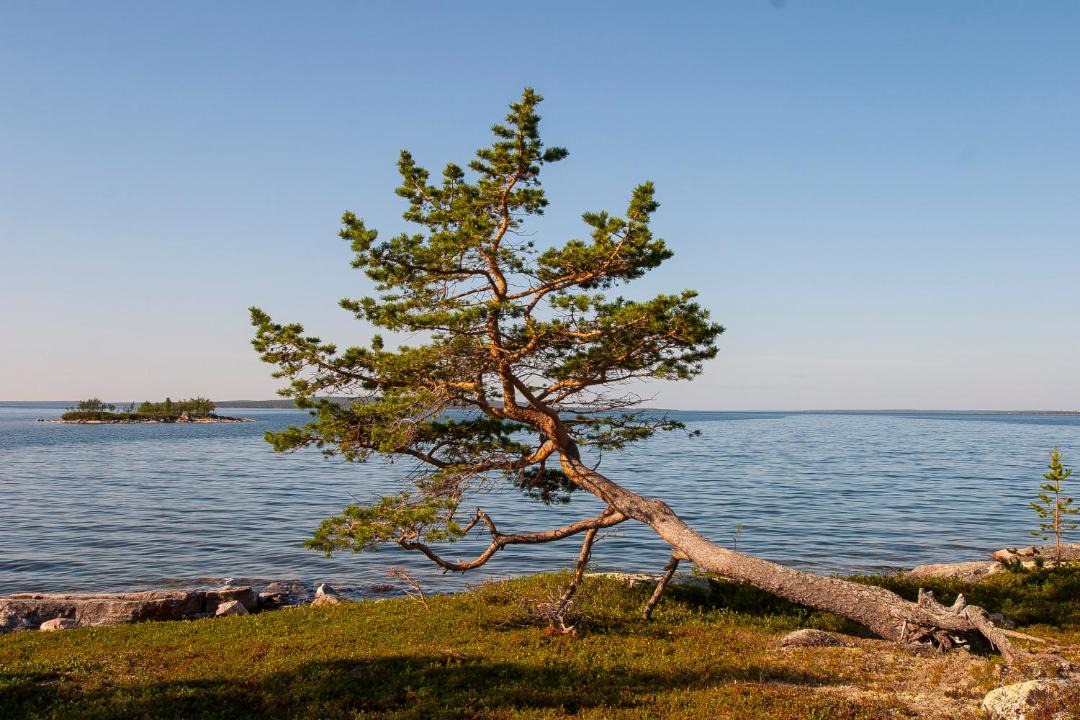 Photo of Others in Inari