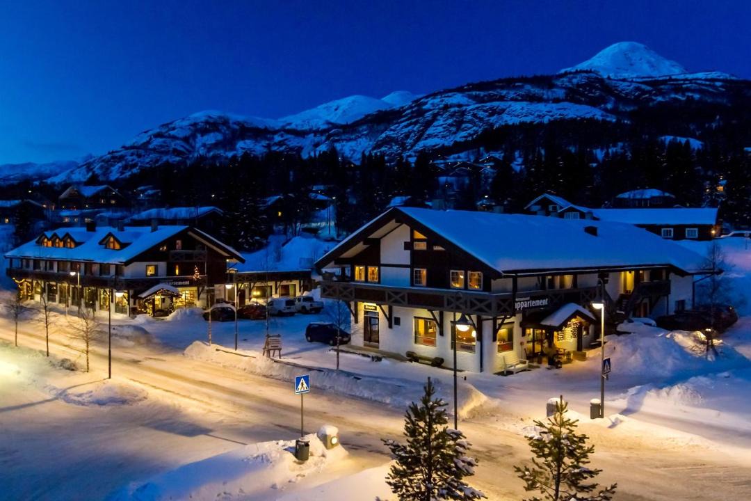 Photo of Others in Hemsedal