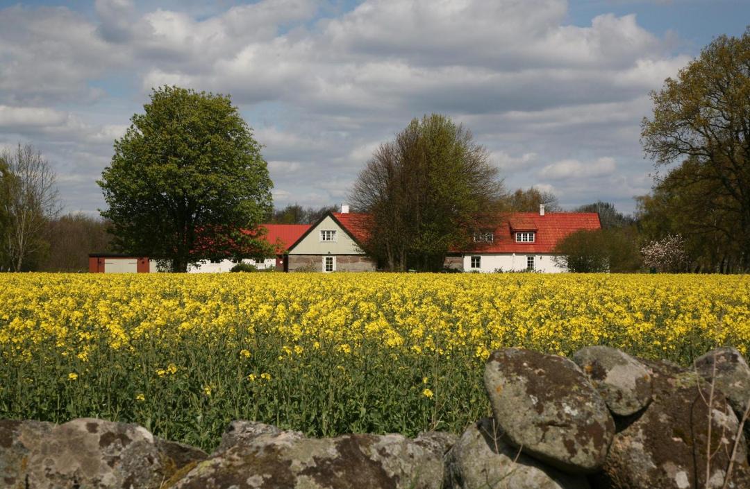 Photo of Others in Kivik