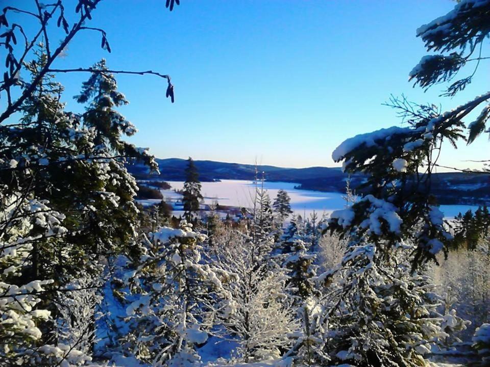 Photo of Others in Bracke O