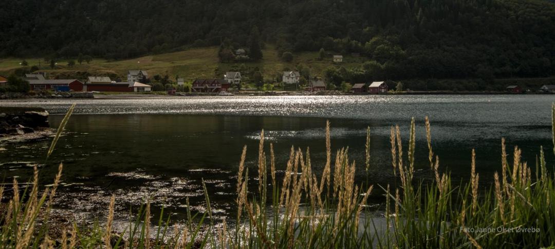 Photo of Others in Stongfjorden