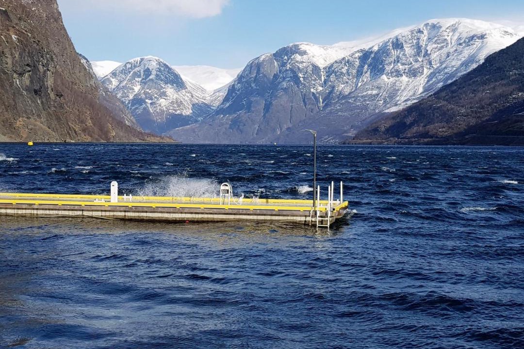 Photo of Others in Flam