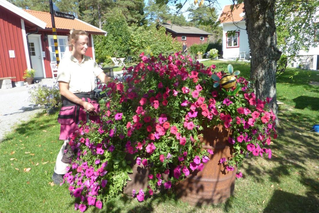 Photo of Others in Orust Municipality