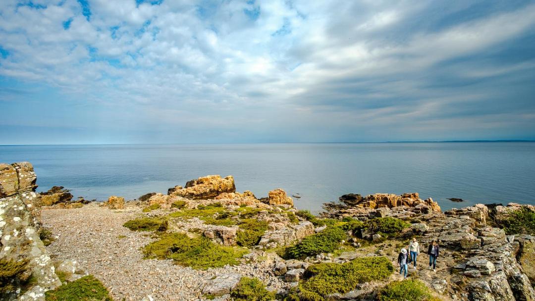 Photo of Others in Bastad
